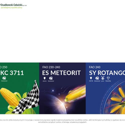 Nasiona rzepaku sklep - Zielona Góra