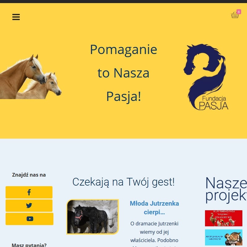 Wirtualna adopcja kota